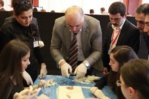 3ea15d5a-0611-4dd1-a1bb-a23e556bb0db